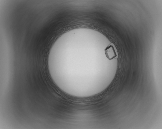 X0000113000752200908270919
