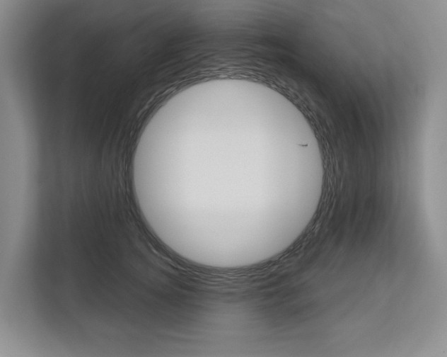 X0000113000756200908270919