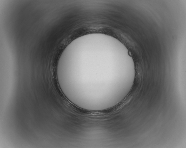 X0000113000758200908270919