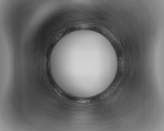 X0000113000760200908270919