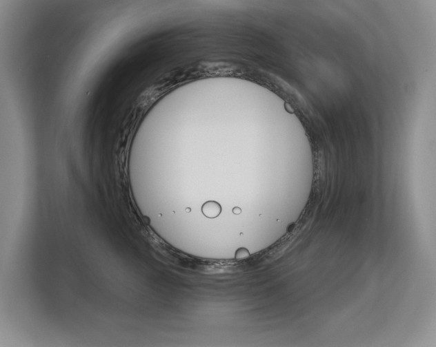 X0000113000761200908270919