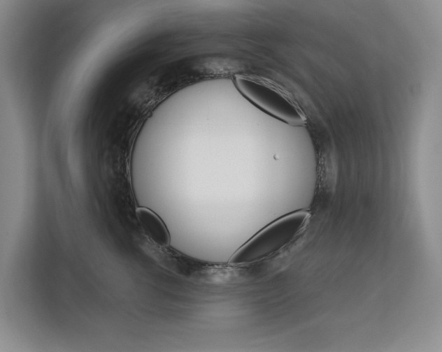 X0000113000762200908270919