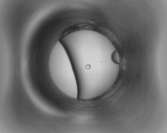 X0000113000763200908270919
