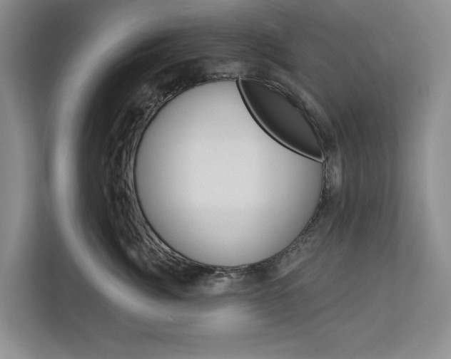 X0000113000764200908270919