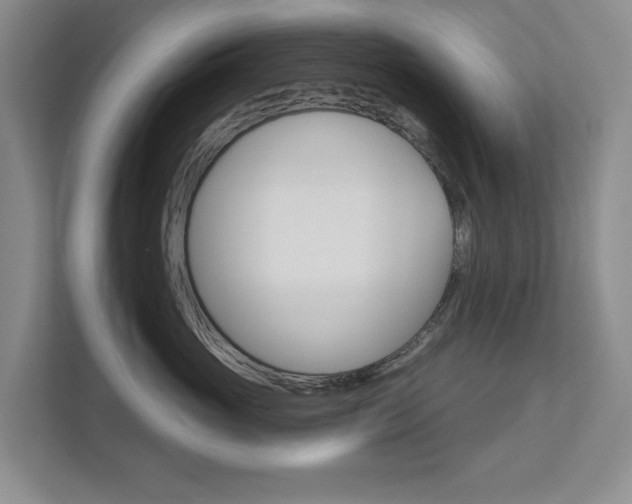 X0000113000765200908270919