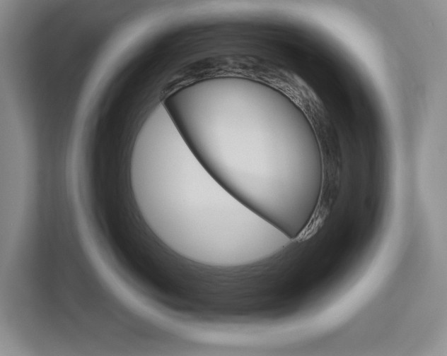X0000113000766200908270919