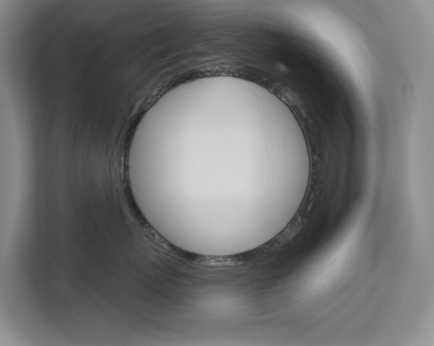 X0000113000767200908270919