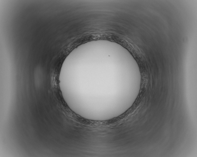 X0000113000770200908270919