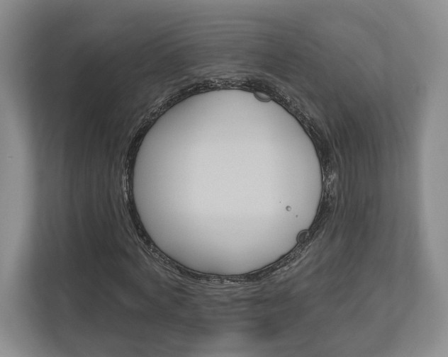 X0000113000772200908270919