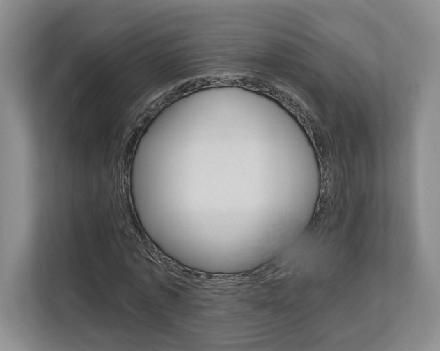 X0000113000773200908270919