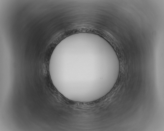 X0000113000774200908270919