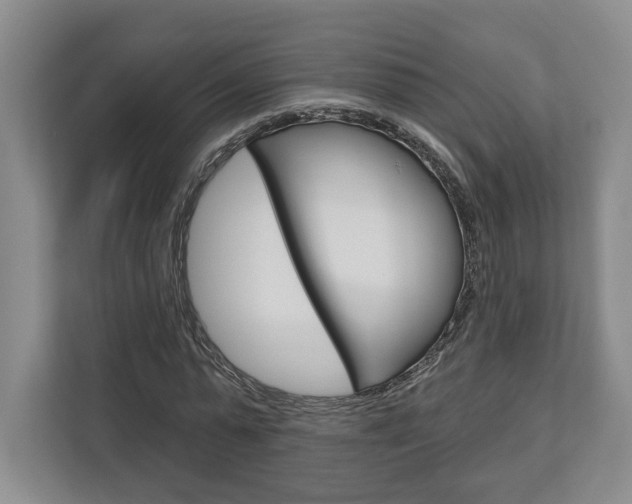 X0000113000775200908270919