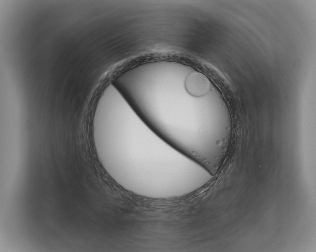 X0000113000776200908270919