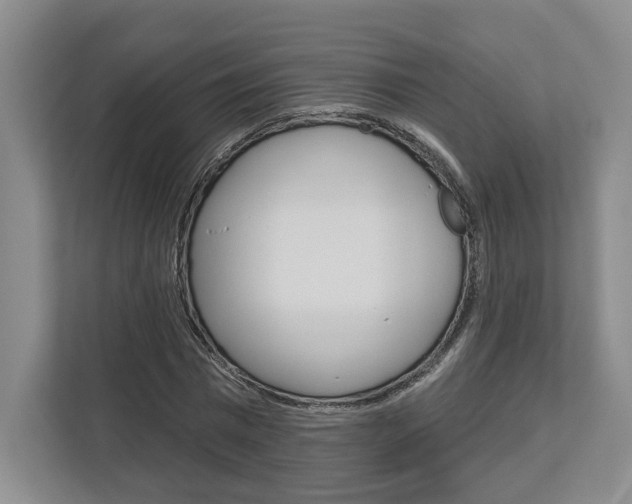 X0000113000777200908270919
