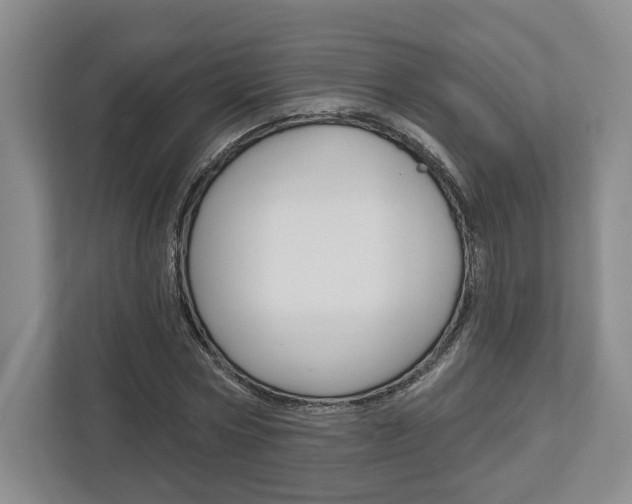 X0000113000778200908270919