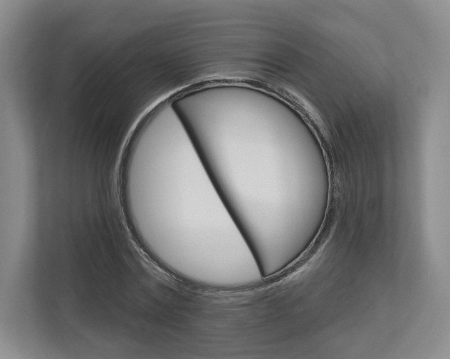 X0000113000779200908270919