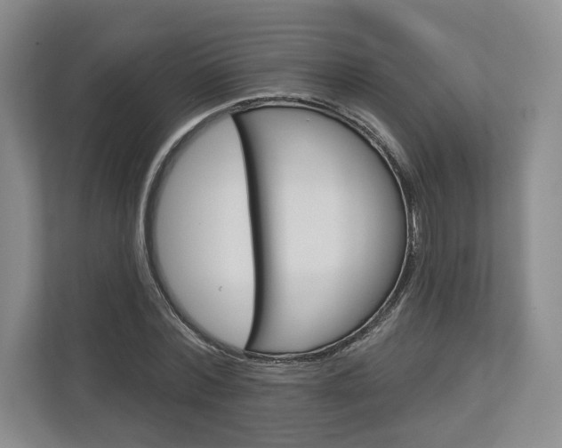 X0000113000780200908270919