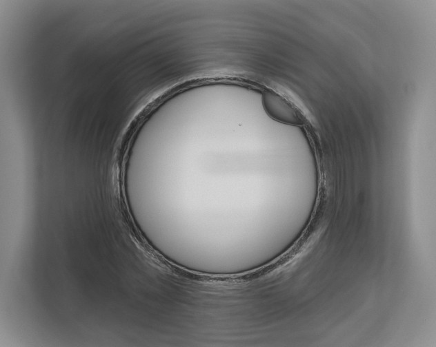 X0000113000781200908270919
