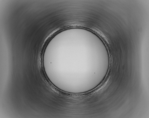 X0000113000782200908270919