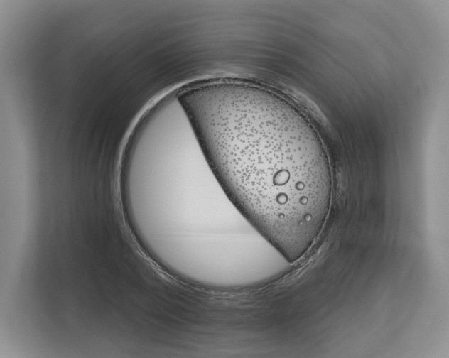 X0000113000784200908270919