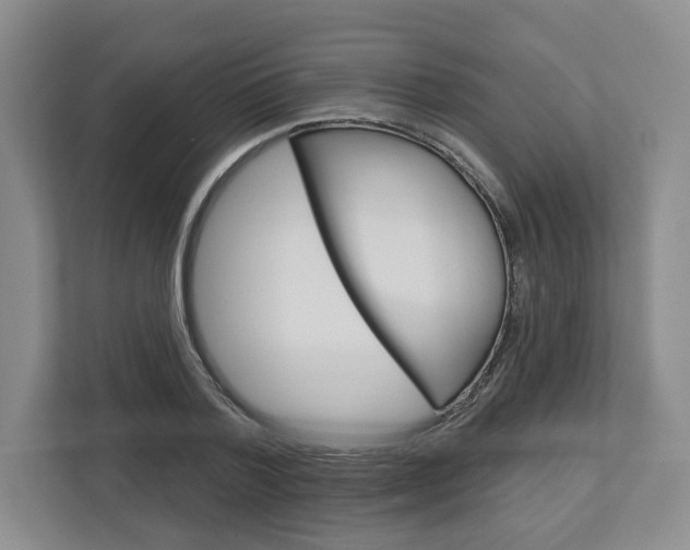 X0000113000788200908270919