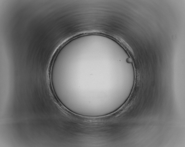X0000113000789200908270919