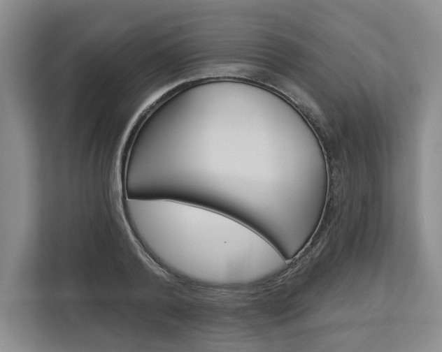 X0000113000792200908270918