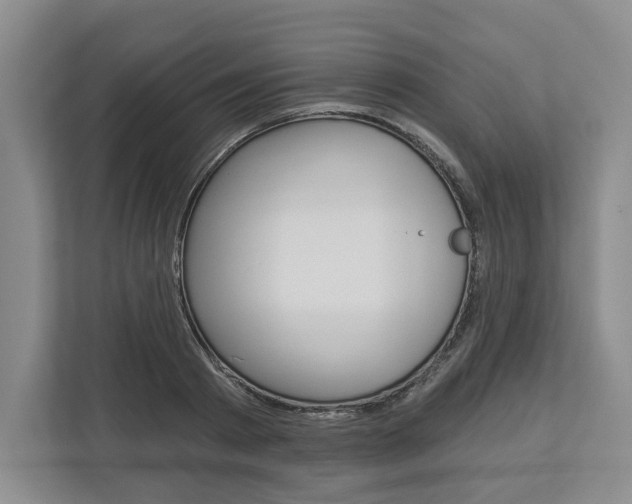 X0000113000793200908270918