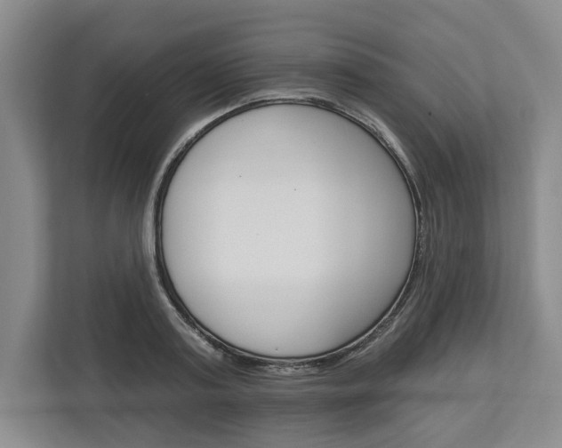 X0000113000795200908270918