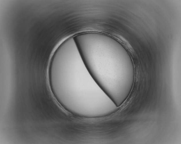X0000113000796200908270918