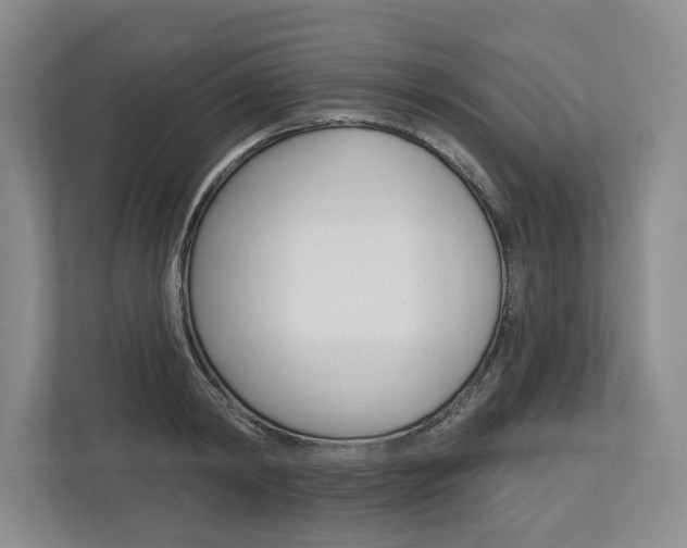 X0000113000798200908270918