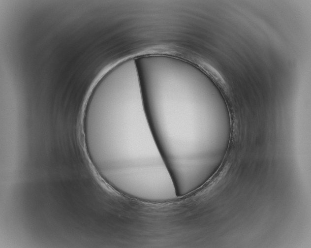 X0000113000800200908270918