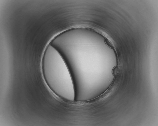 X0000113000803200908270918