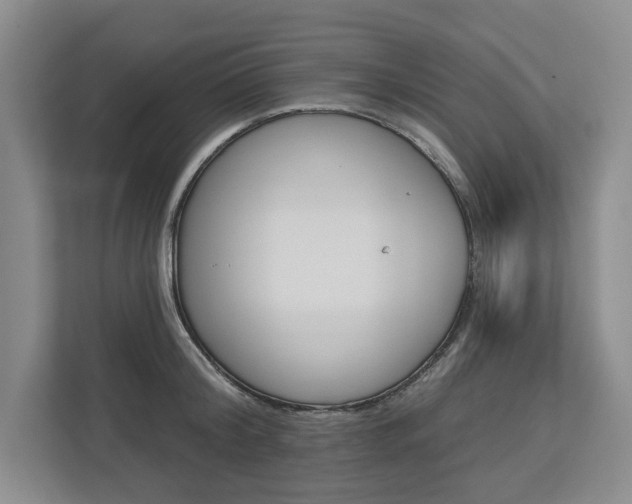 X0000113000804200908270918