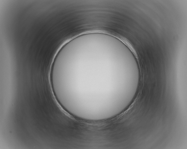 X0000113000805200908270918