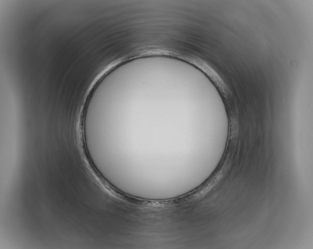 X0000113000806200908270918