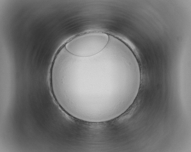 X0000113000807200908270918