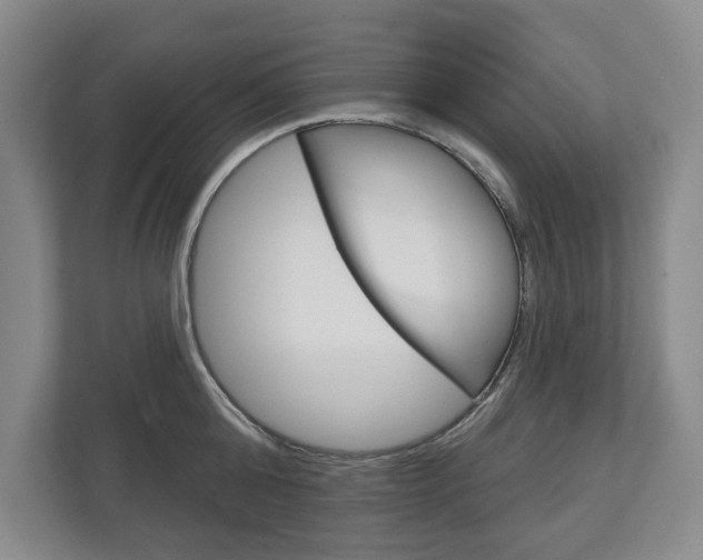 X0000113000808200908270918