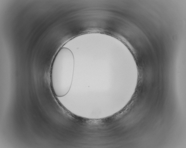 X0000113000810200908270918
