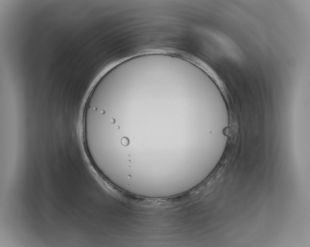 X0000113000811200908270918