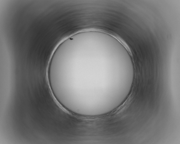 X0000113000813200908270918
