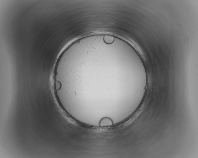 X0000113000814200908270918