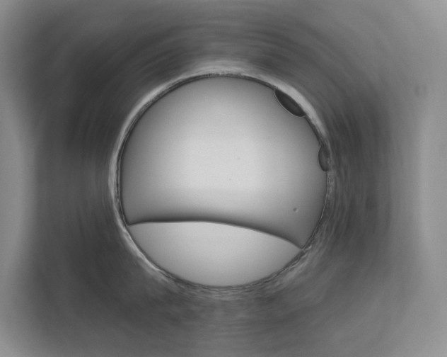 X0000113000815200908270918