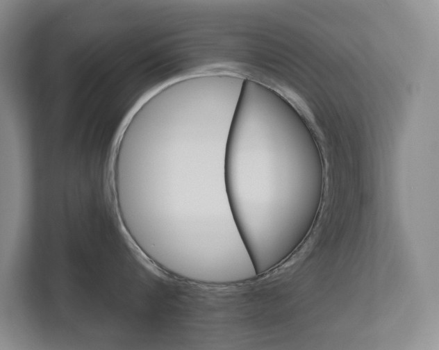 X0000113000816200908270918