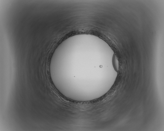 X0000113000817200908270918