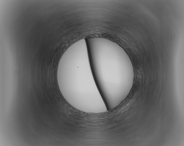 X0000113000818200908270918