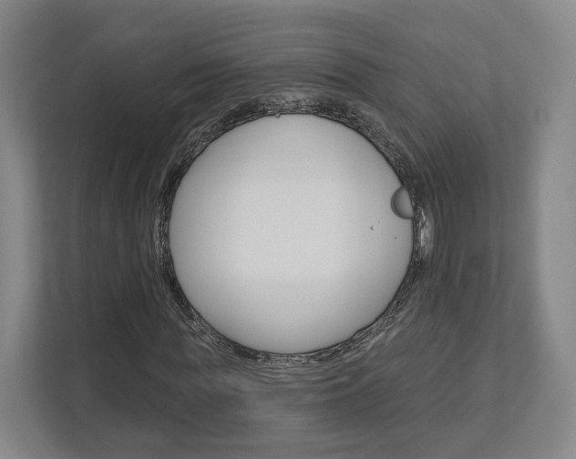 X0000113000819200908270918