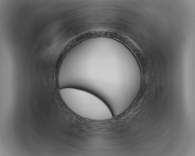 X0000113000821200908270918