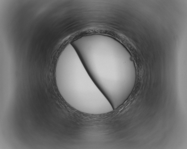 X0000113000822200908270918