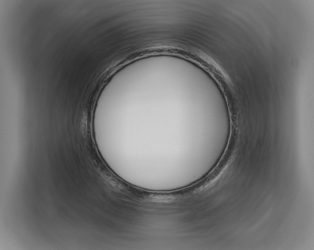 X0000113000825200908270918